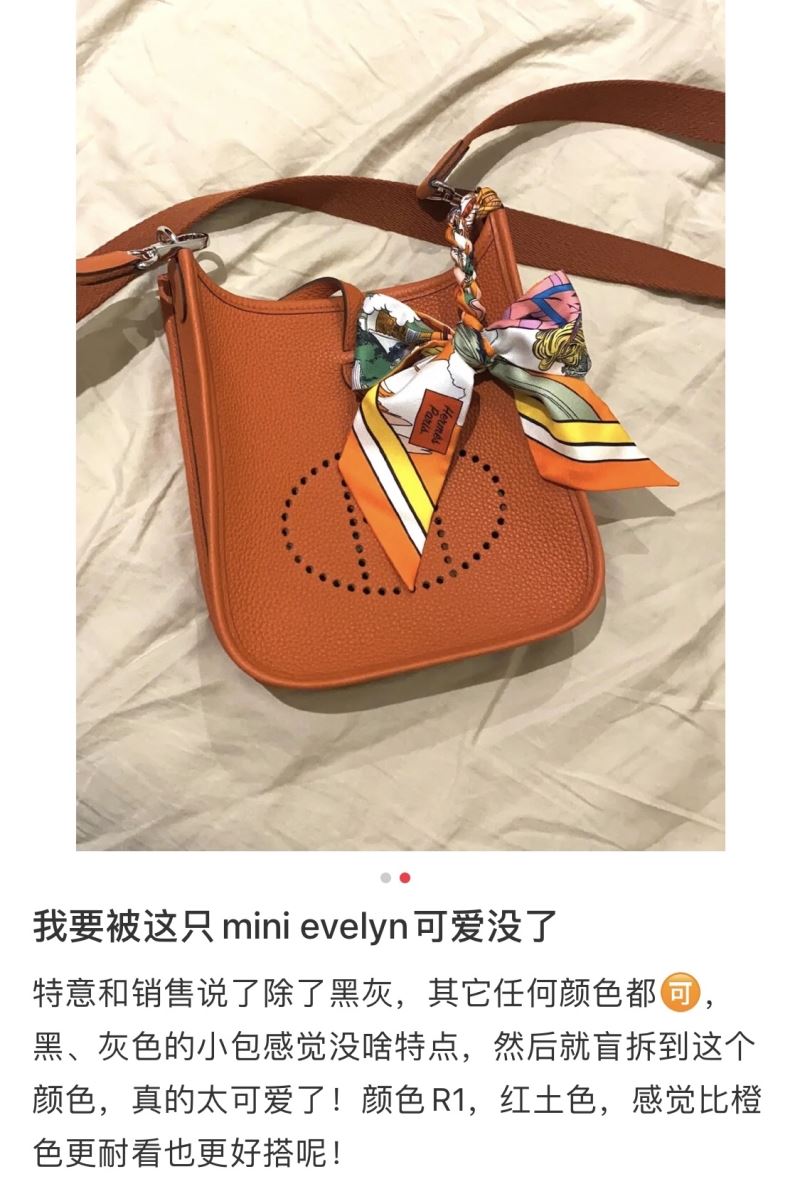 Hermes Evelyn Bags